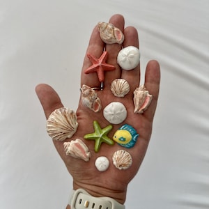 Set di magneti oceanici