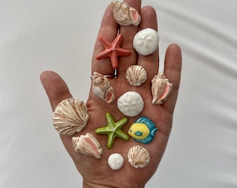 Ocean Magnet Set
