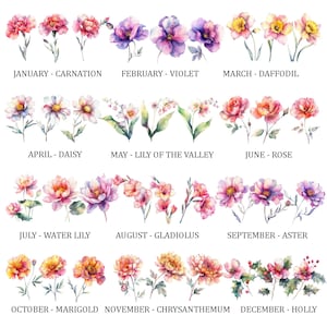 水彩画の誕生月の花のクリップアートセット（PNG、SVG、JPG） - デジタルダウンロード