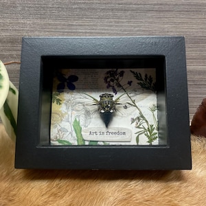 Art is Freedom cicada shadowbox