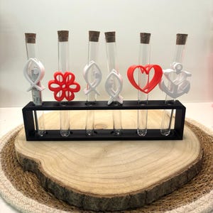 May include: A set of six clear glass test tubes with cork tops, each containing a different white 3D printed design. The designs include a fish, a flower, a heart, and an anchor. The test tubes are arranged in a black metal stand on a wooden base.