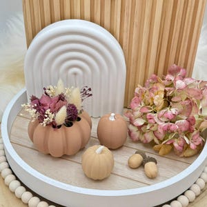 May include: A seasonal arrangement with a peach pumpkin vase holding dried flowers, two small pumpkins, and acorns. The display is on a white tray with wooden beads, with a wooden rainbow and pink flowers in the background. The pumpkins are approximately 5 cm in diameter.