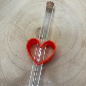 Provetta regalo denaro - cuore - progetto fai da te