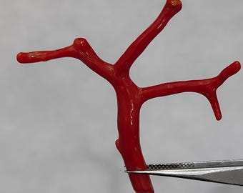 Red Coral Tree Branch: Italian Vintage Gemstone for Jewelry Making