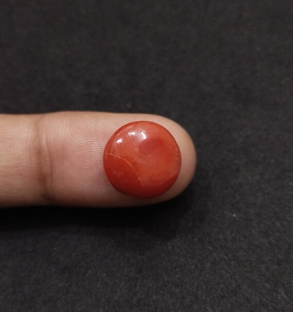 天然赤珊瑚カボション:イタリア産ラウンドストーン、13mm 天然赤珊瑚カボション:イタリア産ラウンドストーン、13mm