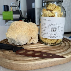 May include: A jar of freeze-dried Lion's Mane mushroom slices next to a fresh Lion's Mane mushroom and a knife on a wooden cutting board. The jar has a label that reads "BAJA NORTH MERCANTILE LION'S MANE".