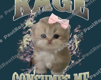 Rage Consumes Me Cat Meme Png, Funny Cat Bootleg Png, Cat Lover Png, Funny Cat Png, Vintage Unhinged Cat Png, Silly Cat Png, Digital file