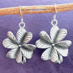 May include: A pair of silver-colored clover-shaped earrings. Each earring features four detailed leaves radiating from a central point. The earrings are suspended from silver hooks, displayed against a purple background.