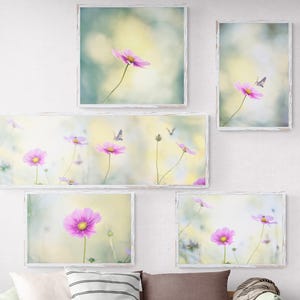 Puede incluir: Un conjunto de cinco impresiones enmarcadas que presentan fotos de primer plano de flores de cosmos rosas en un campo. Las fotos tienen una estética suave y de ensueño con un fondo borroso.