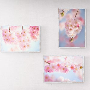 Photo Cherry Blossom Art Print Set Of 3, Blush Pink Floral Wall Art, Sakura Wall Art, digital downloadSakura Print Set,, Minimalist Wall Art