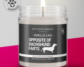 Dachshund Gifts | Wiener Dog Gift | Dachshund Candle | Dachshund Mom | Long Hair Dachshund | Short Hair Dachshund | Dog Gift, Valentine Gift