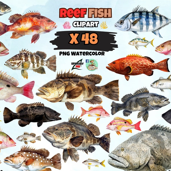 Reef Fish Clipart, Watercolor Marine Fish, Grouper Prints, Snapper, Ocean animal, Gulf of Mexico, PNG Transparent Background, Commercial Use