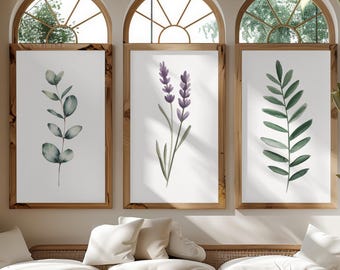 May include: Three framed botanical prints featuring watercolour illustrations of eucalyptus, lavender, and a leafy branch. The prints are above a wooden bench with white cushions, beneath arched windows.