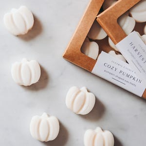 Pumpkin Spice Wax Melts: Coconut Soy, Fall Scents, 11-Piece Set