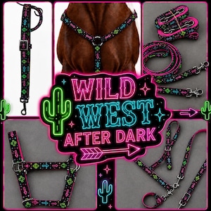 May include: A black horse halter and lead rope set featuring a neon-colored pattern of cacti, arrows, and plus signs in pink, blue, and green. The set includes adjustable straps with metal buckles and clips, displayed in various configurations.