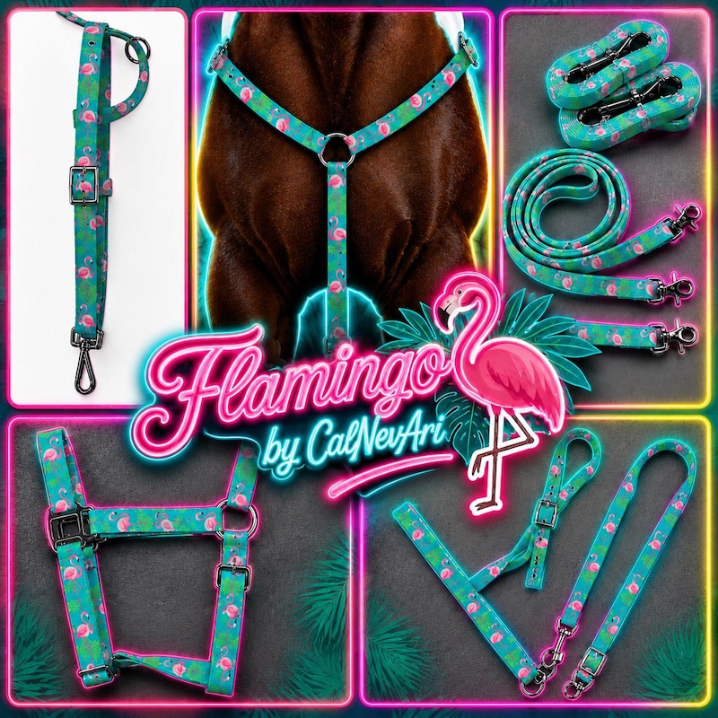 Pink and Turquoise Tack - Etsy
