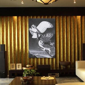 Barred Owl by John James Audubon The Birds Of America art Barred Owl Canvas Print James Audubon Canvas Wall Art,Large Wall Art,Framed Art