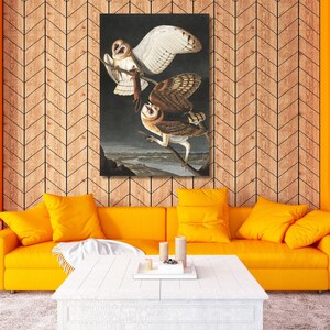 Barred Owl by John James Audubon The Birds Of America art Barred Owl Canvas Print James Audubon Canvas Wall Art,Large Wall Art,Framed Art