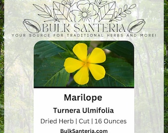 Marilope | Turnera Ulmifolia | Dried Herb | Bulk | 16 Ounces | Santeria | Traditional Herb | Supplier | Wholesale | Botanical | Rare