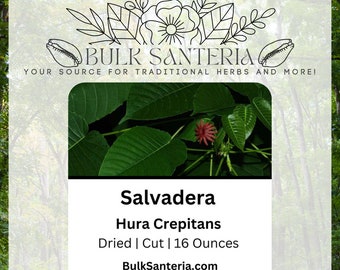 Salvadera | Hura Crepitans | Dried Herb | Bulk | 16 Ounces | Santeria | Traditional Herb | Supplier | Wholesale | Botanical | Rare