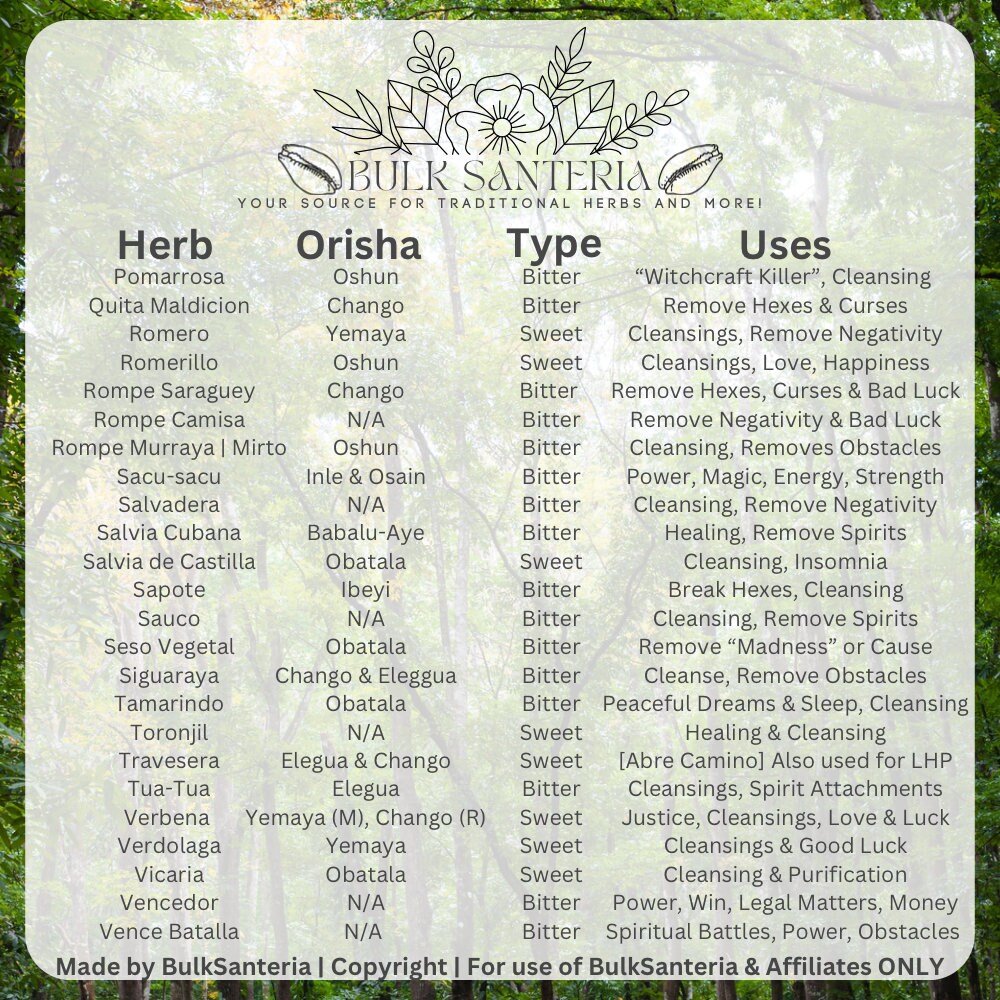 Fresh Herb Bundles Large Various Santeria Ewe Spiritual Cleansing Yoruba Ifa Traditional Herbs