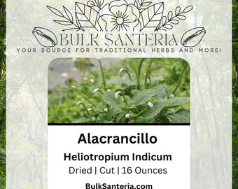 Alacrancillo | Heliotropium Indicum | Dried Herb | Bulk | 16 Ounces | Santeria | Traditional Herb | Supplier | Wholesale | Botanical | Rare