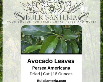Avocado | Persea Americana | Dried Herb | Bulk | 16 Ounces | Santeria | Traditional Herb | Supplier | Wholesale | Botanical | Rare