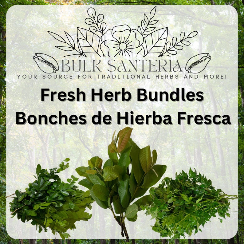 Fresh Herb Bundles Large Various Santeria Ewe Spiritual Cleansing