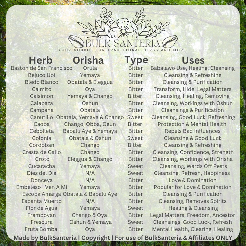 Fresh Herb Bundles Large Various Santeria Ewe Spiritual Cleansing