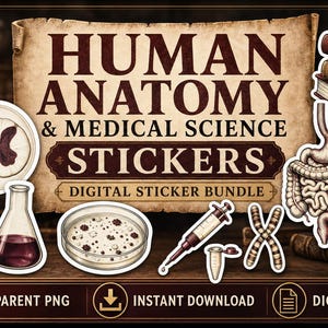 Könnte beinhalten: Ein digitales Sticker-Set mit 100 Illustrationen zur menschlichen Anatomie und medizinischen Wissenschaft. Enthält ein Skelett, einen Rückenmarkquerschnitt, einen Kolben, eine Petrischale, eine Spritze, ein Chromosom, Verdauungsorgane und Bücher.