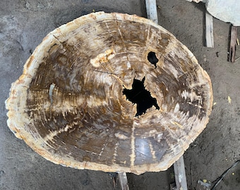 Petrified Wood Brownie Coffee table - Natural Petrified Wood Slab Table