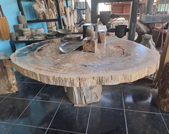 Petrified Wood Brownie Coffee table - Natural Petrified Wood Slab Table