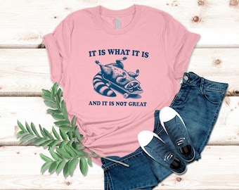 It Is What It Is And It Is Not Great Raccoon T-Shirt, Silly Raccoon Shirt, Raccoon Meme Tee, Funny Raccoon Lover Gifts | 0437