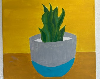 Potted Snake Plant