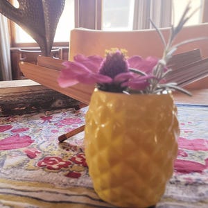 Pineapple Pot