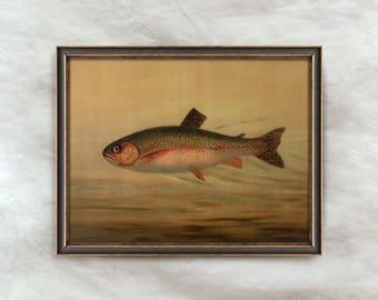Vintage Rainbow Trout Painting | Brook Trout Fish Artwork | Antique Lake House Decor | Fisherman Wall Art | Digital Download
