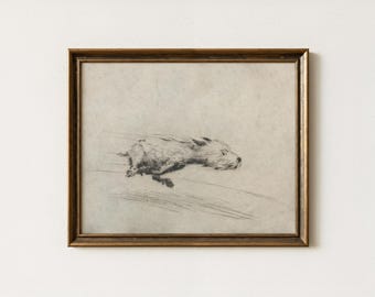 Dog with Zoomies | Antique Dog Portrait Drawing | Minimalist Pet Terrier Sketch Art | Rustic Animal Wall Artwork | Digital Download