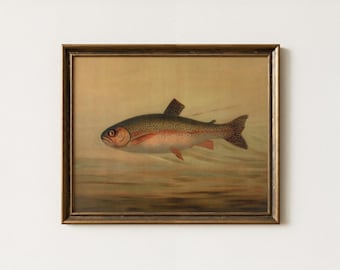 Vintage Rainbow Trout Painting | Brook Trout Fish Artwork | Antique Lake House Decor | Fisherman Wall Art | Digital Download