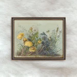 Estudio de diente de león vintage / Arte mural antiguo de flores botánicas / Decoración rústica para el hogar inspirada en la naturaleza / Descarga digital