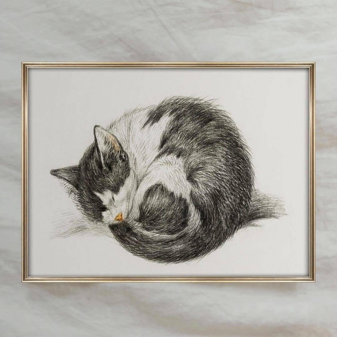 Sleeping Cat Pencil Sketch | Black and White Feline Decor | Vintage ...