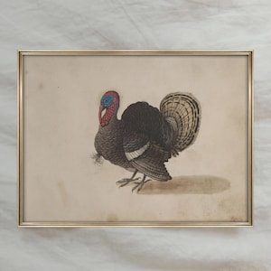 Vintage Turkey Painting | Antique Bird Artwork | Rustic Farmhouse Wall Decor | Digital Download