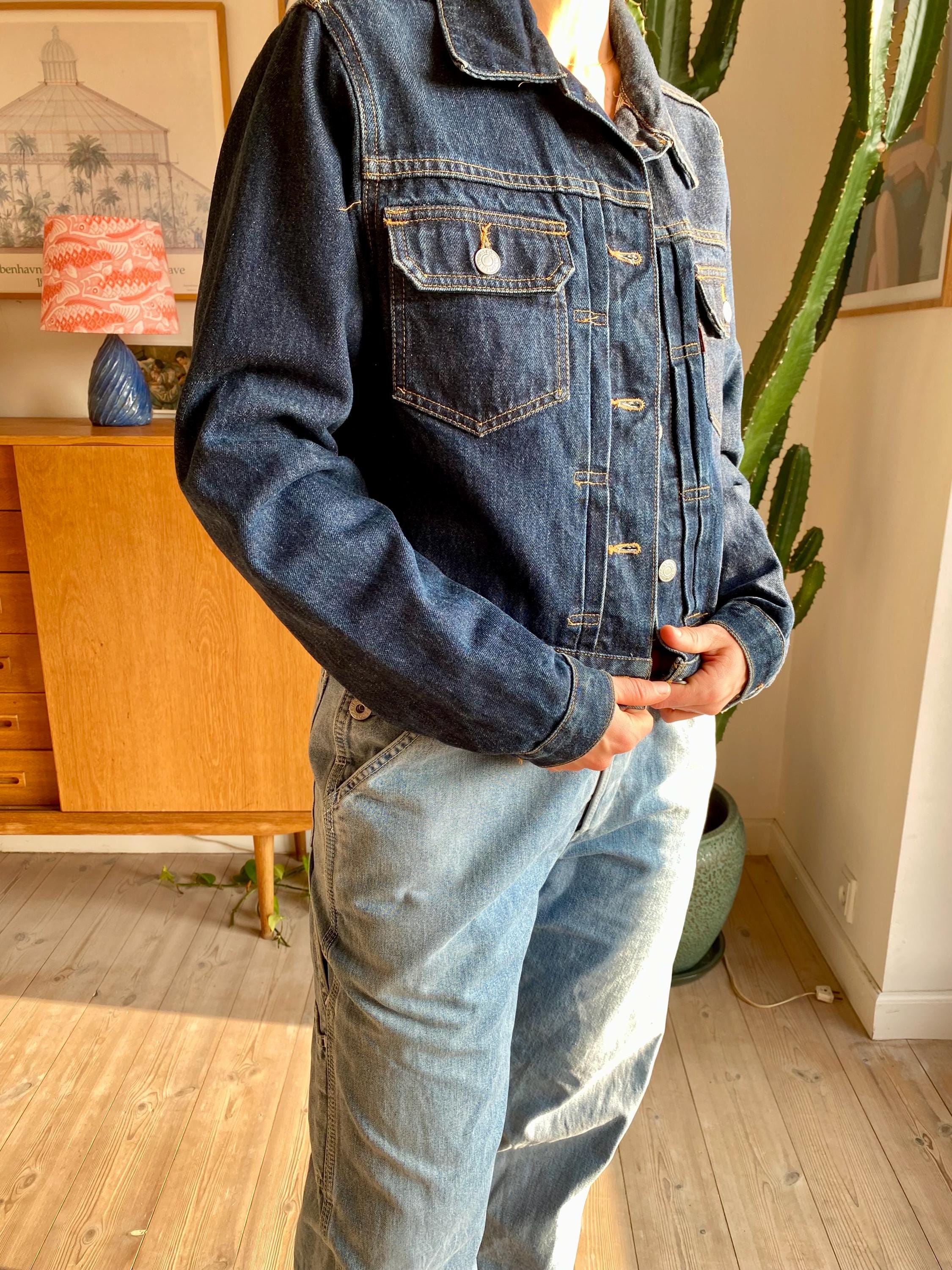 2冊セットLEVI’S VINTAGE DENIM JACKETS Vintage Levi's Type 2 Big E Ripped Selvedge J02 Button Levis