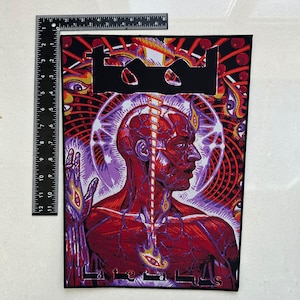 Puede incluir: Un parche rectangular con el nombre de la banda "TOOL" en letras negras en bloque sobre una ilustración detallada. La ilustración representa una figura anatómica roja y morada con la palabra "Lateralus" en la parte inferior. El parche mide unos 30 cm de alto.