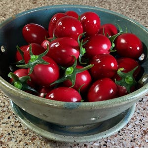 May include: A ceramic bowl filled with bright red cherry tomatoes, each with a green stem. The bowl is a muted teal color with a matching saucer underneath. The tomatoes are the focal point, filling the bowl.