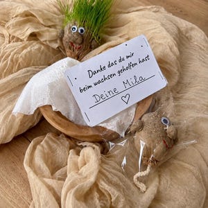 May include: A grass-growing figure with googly eyes and a red mouth, featuring a white card with the text "Danke das du mir beim wachsen geholfen hast Deine Mila" and a heart symbol, alongside a second figure in a clear plastic bag.