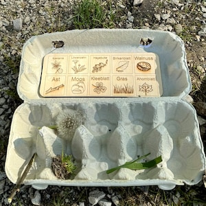 Forest Treasure Hunt Forest Bingo Children, Montessori, Scavenger Hunt Children's Birthday Game Wood