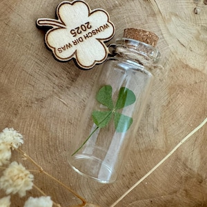 Gift, lucky charm, gift - good luck! Lucky charm real 4-leaf clover / good luck New Year's Eve 2025 / party favor New Year's Eve