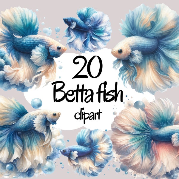 Watercolor Betta Fish clipart - aquarium fish illustrations - aquariums, Betta png, fish graphic - hobbies digital download