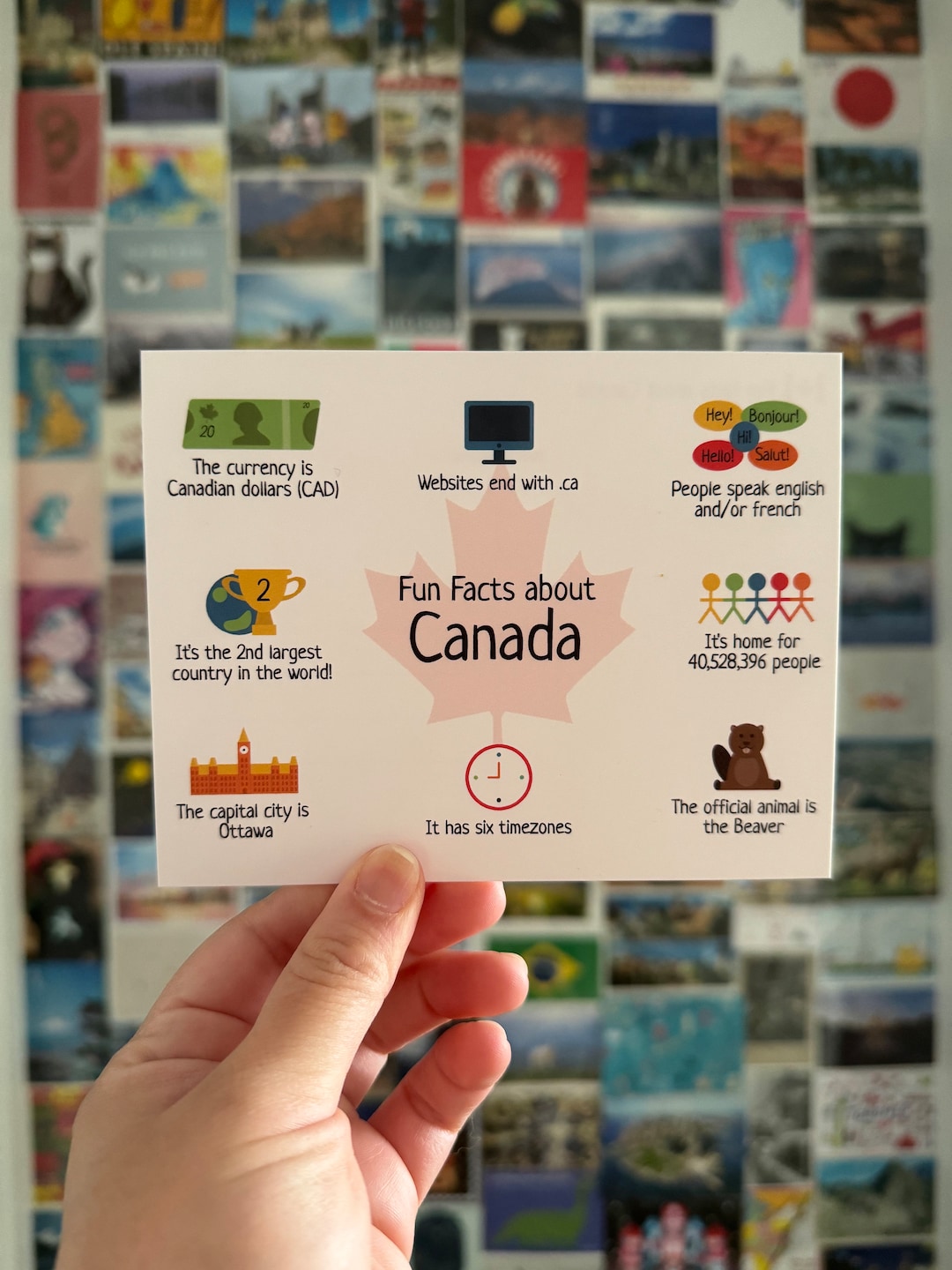Fun Facts About Canada Postcard - Etsy