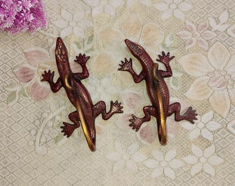 Juego de tiradores de puerta de latón con diseño de dragón de Komodo: Reptile Home Hardware